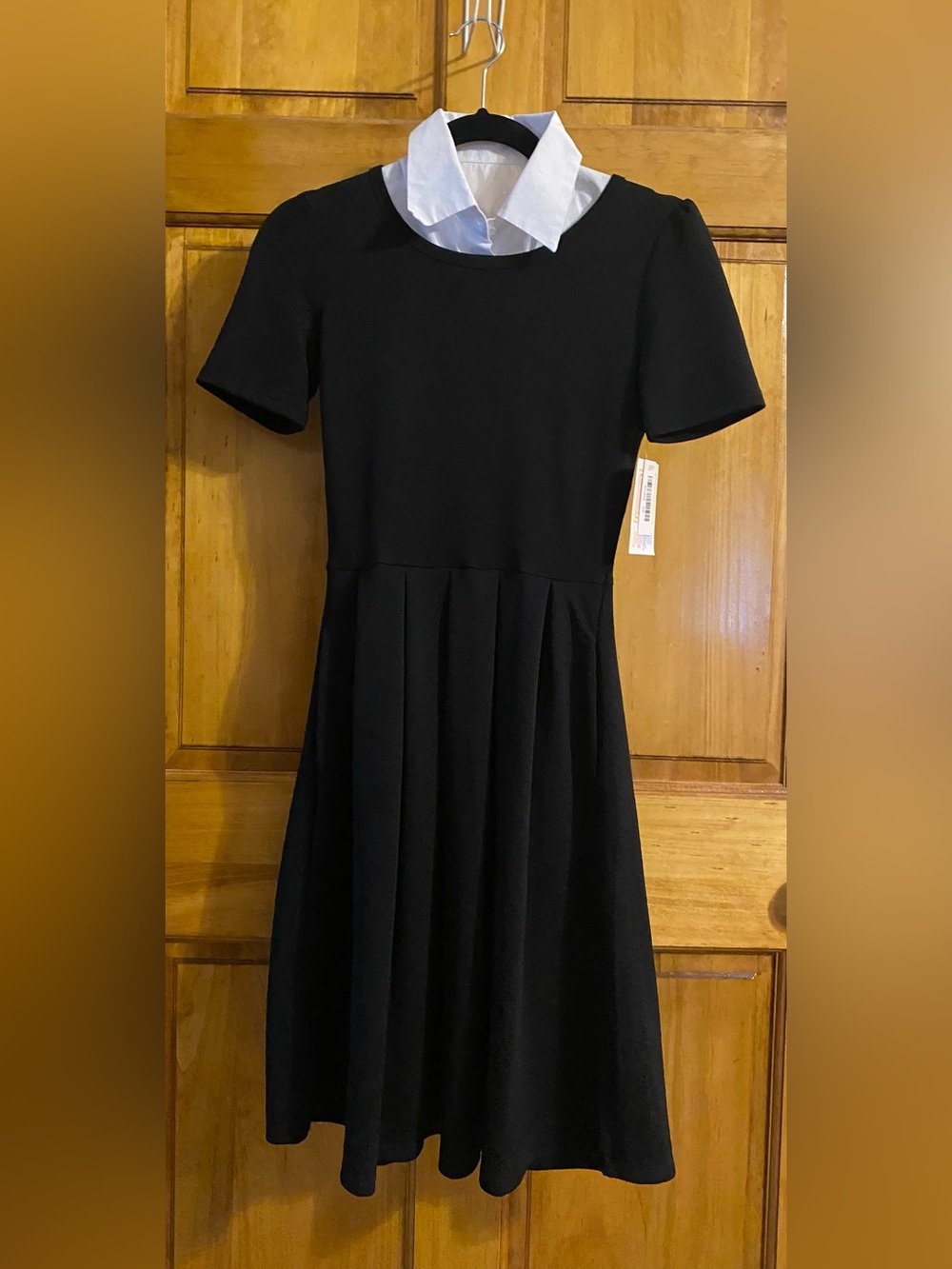 LuLaRoe Pleated Fit-and-Flare Amelia Dress